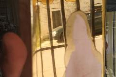 IMG_20191022_133906-Copy