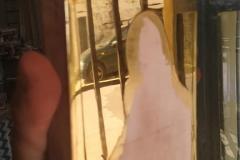 IMG_20191022_133909-Copy